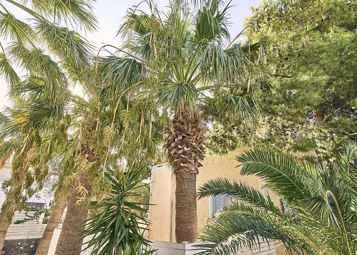 Meltemi Village Hotel 4*